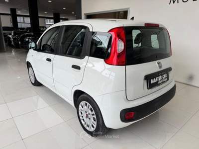 Fiat Panda 1.2 Easy Bianco usata Ripalimosani