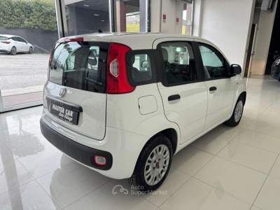 Fiat Panda 1.2 Easy Bianco usata Ripalimosani