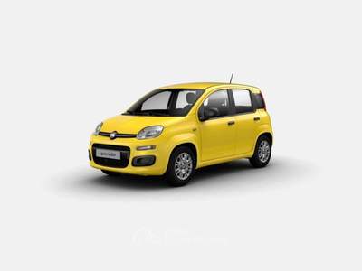 Fiat Panda 1.0 FireFly S&S Hybrid Giallo usata Bucine