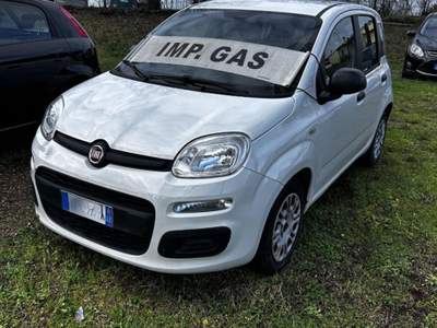 Fiat Panda 1.2 Easy Bianco usata Bucine