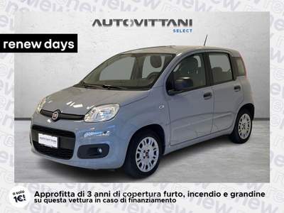 Fiat Panda Panda 1.0 FireFly Hybrid 70cv City Life S&S Grigio usata Como