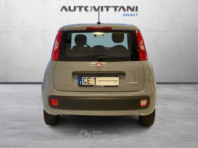 Fiat Panda Panda 1.0 FireFly Hybrid 70cv City Life S&S Grigio usata Como