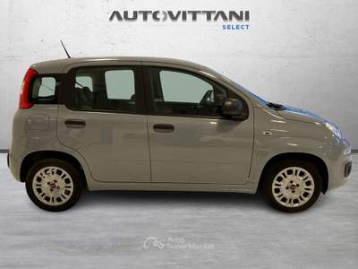 Fiat Panda Panda 1.0 FireFly Hybrid 70cv City Life S&S Grigio usata Como