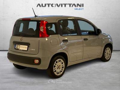 Fiat Panda Panda 1.0 FireFly Hybrid 70cv City Life S&S Grigio usata Como