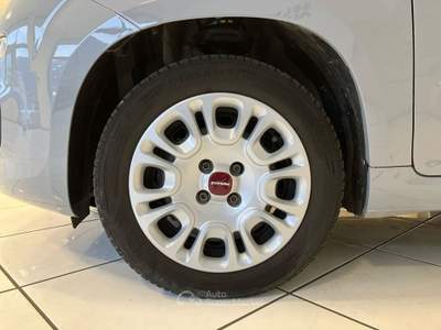 Fiat Panda Panda 1.0 FireFly Hybrid 70cv City Life S&S Grigio usata Como