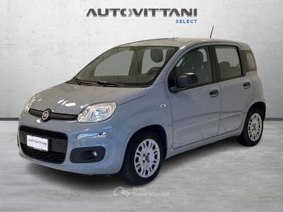 Fiat Panda Panda 1.0 FireFly Hybrid 70cv City Life S&S Grigio usata Como