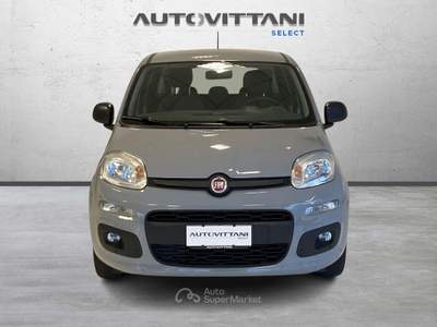 Fiat Panda Panda 1.0 FireFly Hybrid 70cv City Life S&S Grigio usata Como