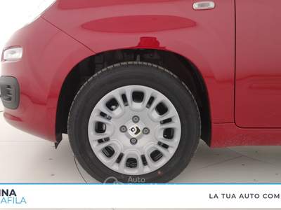 Fiat Panda  - panda 1.0 firefly hybrid pop s&s 70cv Rosso usata Marcianise