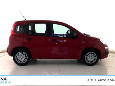 Fiat Panda  - panda 1.0 firefly hybrid pop s&s 70cv Rosso usata Marcianise