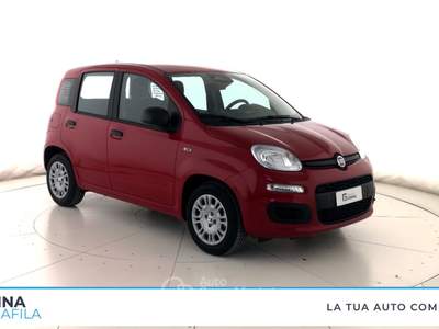 Fiat Panda  - panda 1.0 firefly hybrid pop s&s 70cv Rosso usata Marcianise