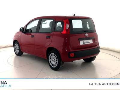 Fiat Panda  - panda 1.0 firefly hybrid pop s&s 70cv Rosso usata Marcianise