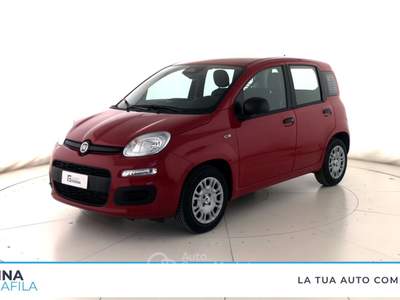 Fiat Panda  - panda 1.0 firefly hybrid pop s&s 70cv Rosso usata Marcianise