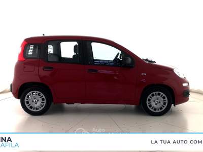 Fiat Panda  - panda 1.0 firefly hybrid pop s&s 70cv Rosso usata Marcianise
