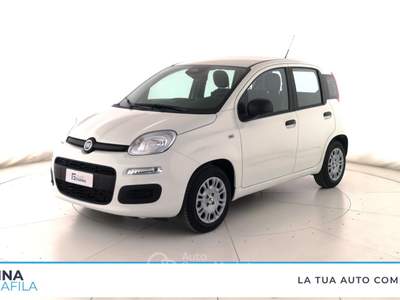 Fiat Panda  - pandina 1.0 firefly hybrid pop s&s 65cv Bianco usata Marcianise