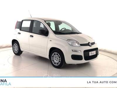 Fiat Panda  - pandina 1.0 firefly hybrid pop s&s 65cv Bianco usata Marcianise