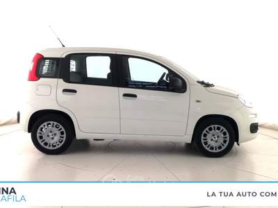 Fiat Panda  - pandina 1.0 firefly hybrid pop s&s 65cv Bianco usata Marcianise