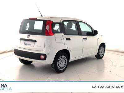 Fiat Panda  - pandina 1.0 firefly hybrid pop s&s 65cv Bianco usata Marcianise