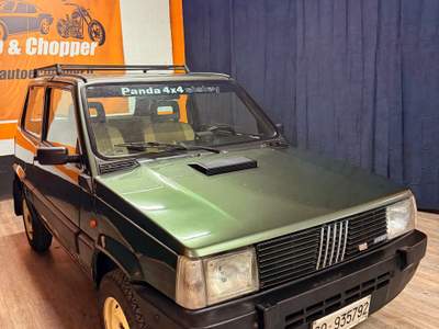 Fiat Panda PANDA 4X4 SISLEY ARIA CONDIZIONATA Verde usata Roma