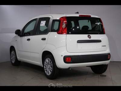 Fiat Panda icon Bianco usata Chioggia