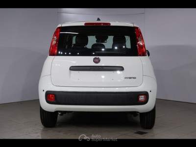 Fiat Panda icon Bianco usata Chioggia