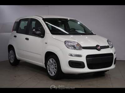 Fiat Panda icon Bianco usata Chioggia