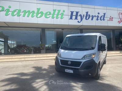 Fiat Ducato 33 2.3 MJT PC-TN Furgone IVA ESPOSTA Bianco usata Pignataro Interamna