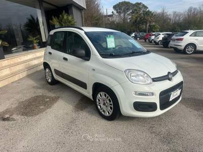 Fiat Panda 95 CV S&S Lounge NEOPATENTATI Bianco usata Pignataro Interamna
