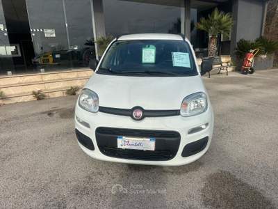 Fiat Panda 95 CV S&S Lounge NEOPATENTATI Bianco usata Pignataro Interamna