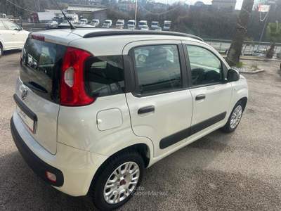 Fiat Panda 95 CV S&S Lounge NEOPATENTATI Bianco usata Pignataro Interamna