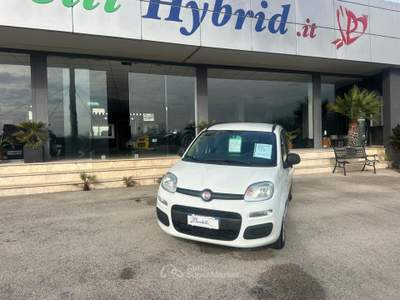 Fiat Panda 95 CV S&S Lounge NEOPATENTATI Bianco usata Pignataro Interamna