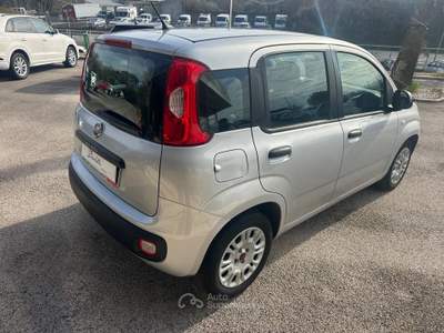 Fiat Panda 95 CV S&S Lounge NEOPATENTATI Argento usata Pignataro Interamna