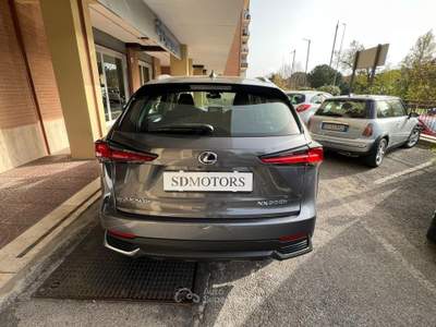 Lexus NX 300h 2.5 Business 4wd cvt *Promo SD 2026* Grigio usata Roma