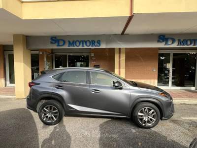 Lexus NX 300h 2.5 Business 4wd cvt *Promo SD 2026* Grigio usata Roma