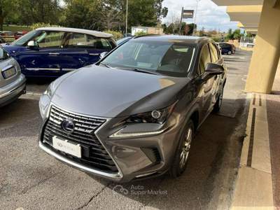 Lexus NX 300h 2.5 Business 4wd cvt *Promo SD 2026* Grigio usata Roma