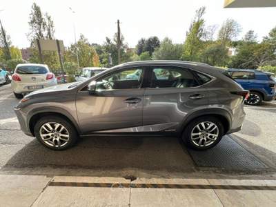 Lexus NX 300h 2.5 Business 4wd cvt *Promo SD 2026* Grigio usata Roma