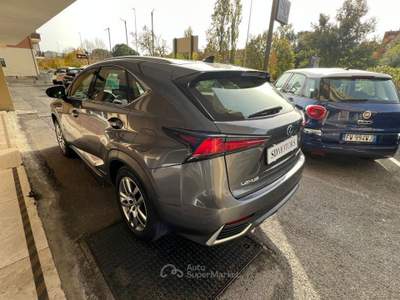 Lexus NX 300h 2.5 Business 4wd cvt *Promo SD 2026* Grigio usata Roma