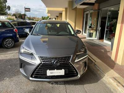 Lexus NX 300h 2.5 Business 4wd cvt *Promo SD 2026* Grigio usata Roma