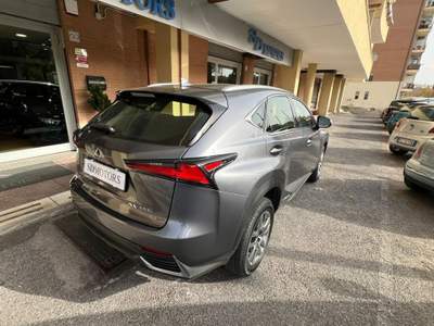 Lexus NX 300h 2.5 Business 4wd cvt *Promo SD 2026* Grigio usata Roma
