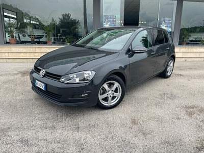 Volkswagen Golf 5p. 105 CV Trendline BlueMotion Technology Grigio usata Pignataro Interamna