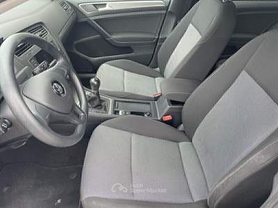 Volkswagen Golf 5p. 105 CV Trendline BlueMotion Technology Grigio usata Pignataro Interamna