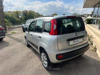 Fiat Panda Turbo S&S Lounge NEOPATENTATI Argento usata Pignataro Interamna