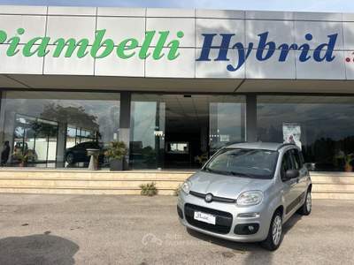Fiat Panda Turbo S&S Lounge NEOPATENTATI Argento usata Pignataro Interamna