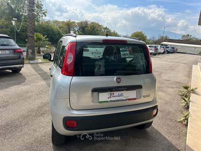 Fiat Panda Turbo S&S Lounge NEOPATENTATI Argento usata Pignataro Interamna