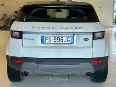 Land Rover Range Rover Evoque 2.0 eD4 5p. Business Edition Premium Pure Bianco usata Massarosa