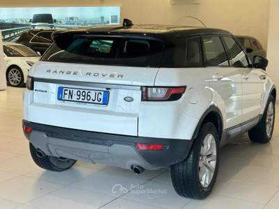 Land Rover Range Rover Evoque 2.0 eD4 5p. Business Edition Premium Pure Bianco usata Massarosa