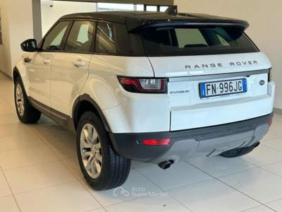 Land Rover Range Rover Evoque 2.0 eD4 5p. Business Edition Premium Pure Bianco usata Massarosa