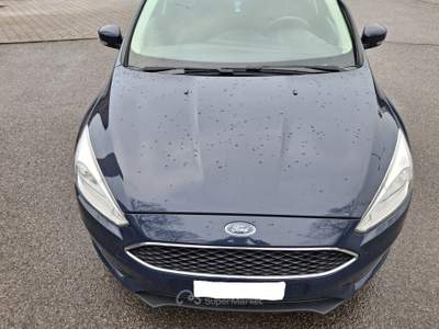 Ford Focus FORD FOCUS 1.6 TDCI 95CV SW BUSINESS N1 Blu/Azzurro usata REGGIO EMILIA