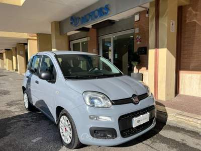 Fiat Panda 1.0 firefly hybrid s&amp;s 70cv *Promo SD 2026* Grigio usata Roma