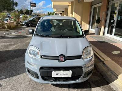 Fiat Panda 1.0 firefly hybrid s&amp;s 70cv *Promo SD 2026* Grigio usata Roma