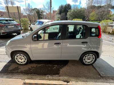Fiat Panda 1.0 firefly hybrid s&amp;s 70cv *Promo SD 2026* Grigio usata Roma